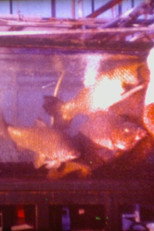 Schätze aus dem Meer - Unentbehrlicher Fisch poster