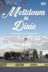 Poster for Meltdown in Dixie