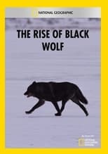 Poster for The Rise of Black Wolf