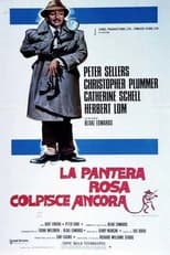 Poster di La pantera rosa colpisce ancora