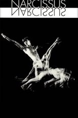 Narcissus main poster