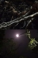 Watch Two moons (2024)