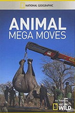 Animal Mega Moves poster