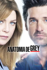 Grey’s Anatomy: 9ª Temporada