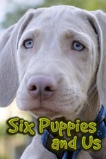 Poster for Six Puppies and Us