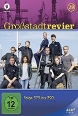 Poster for Großstadtrevier Season 29