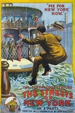 Poster for The Streets of New York