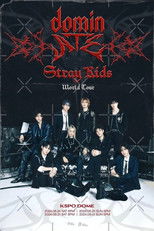 Stray Kids: The dominATE Experience poster