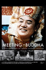 Meeting the Buddha poster