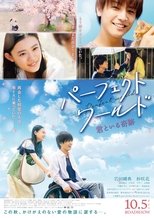 Perfect World Live Action Subtitle Indonesia