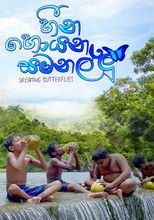 Dreaming Butterflies poster movie