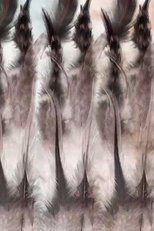 The Anatomy of a Feather