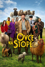 Ovce na stope