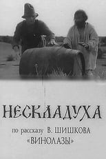 Poster for Нескладуха 