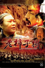 老柿子树 poster