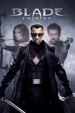 Blade: Trinity poster movie