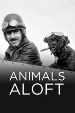 Animals Aloft (2009)