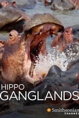 Poster for Hippo Ganglands 