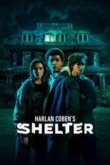 Poster di Shelter