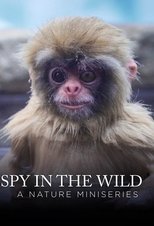 Spy in the Wild poster image