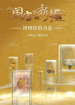 国宝里的新疆 poster