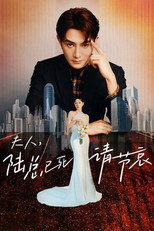 夫人，陆总已死请节哀 poster