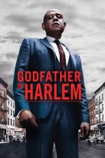 Poster for Godfather of Harlem Season 1