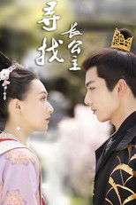 寻找长公主 poster