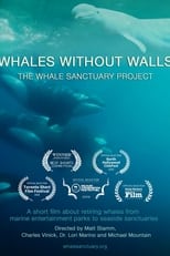 Poster for Whales Without Walls