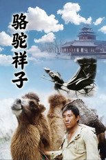 骆驼祥子 poster