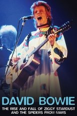 David Bowie: The Rise And Fall of Ziggy Stardust and the Spiders From Mars main poster