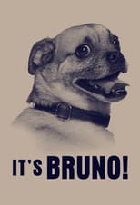 Poster for It's Bruno!