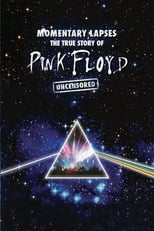 Poster for Pink Floyd: Momentary Lapses - The True Story of Pink Floyd