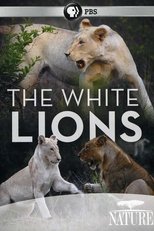 Poster for The White Lions 