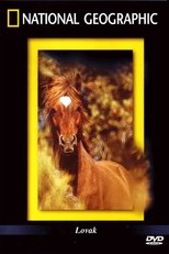 The Noble Horse main poster