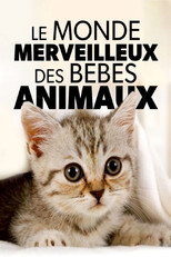Le monde merveilleux des bébés animaux poster
