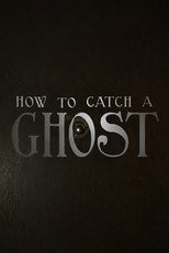 How To Catch A Ghost poster