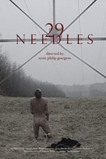 Poster for 29 Needles 