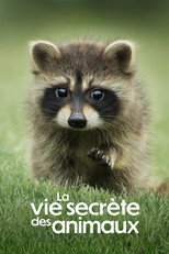 La Vie secr&egrave;te des animaux