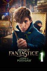 Animale fantastice și unde le poți găsi