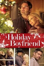 Poster di A Holiday Boyfriend