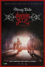 스트레이 키즈 : 더 도미네이트 익스피리언스