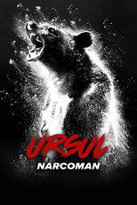 Ursul narcoman