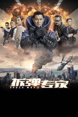 拆弹专家