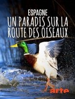 Espagne : un paradis sur la route des oiseaux (2024)