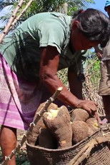 Wehsé Darase – Trabalho da Roça poster