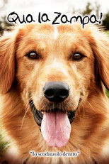 Qua la zampa!