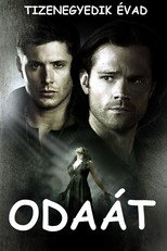 11. évad