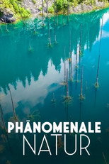 Phänomenale Natur