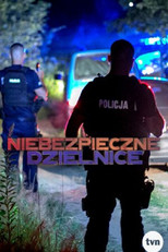 Niebezpieczne Dzielnice poster